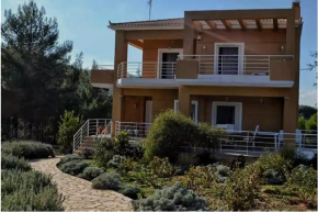 Villa Tranquility